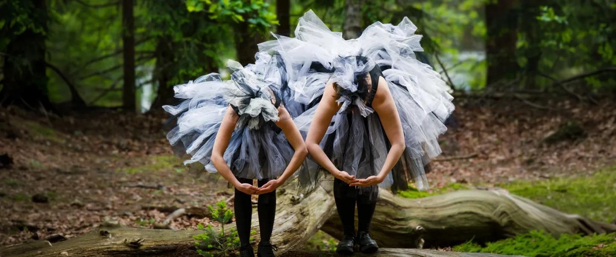 Ballet des Extinctes