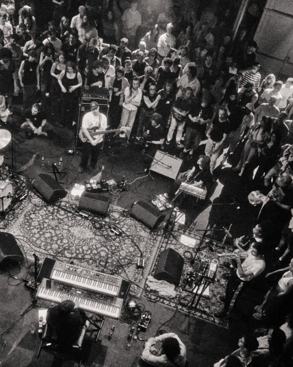 Super-Sonic Showcase Fest: Celebrate Your Locals