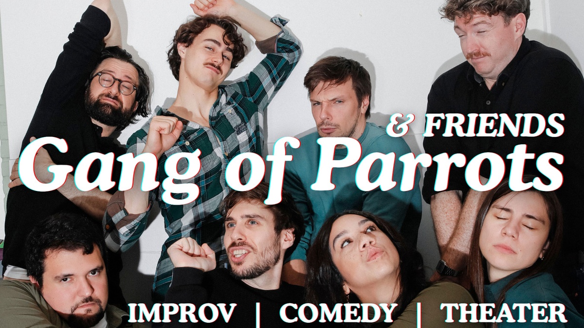 Gang of Parrots & Friends