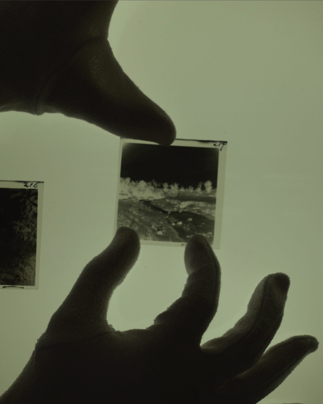 Workshop: Robusta and the Vacuum Landscape