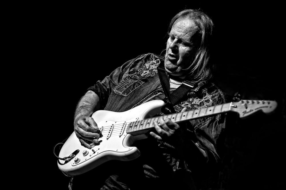Walter Trout