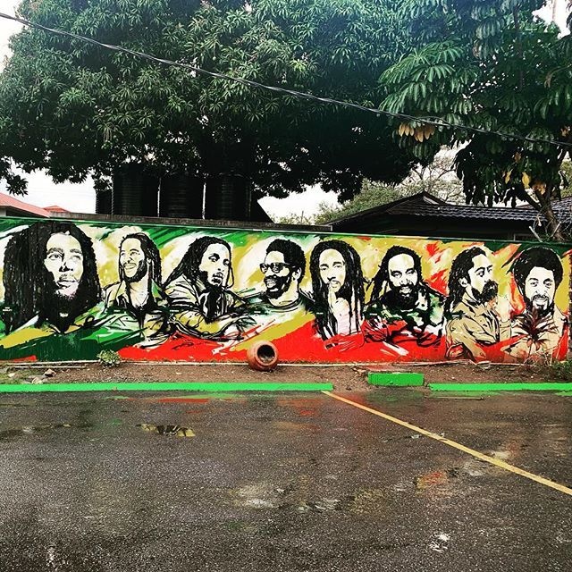 REGGAE night