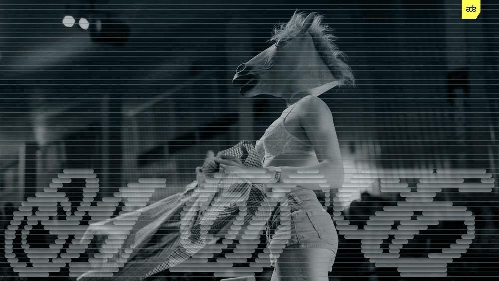 PAARDENRAVE