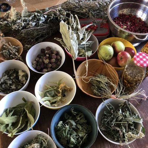 Plant Power – creating herbal remedies 6/06