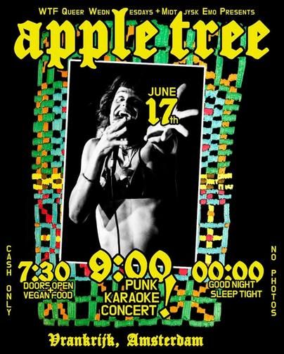 WTF Queer Wednesday/Punk Karaoke Concert !
