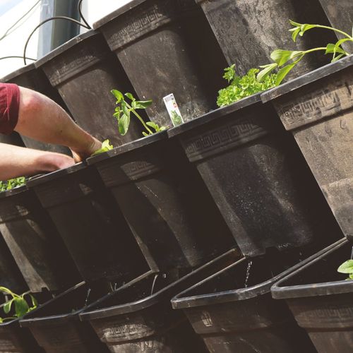 Workshop Tuinieren: Wicking beds – Een zelfwaterend systeem