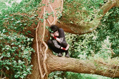 Goblin by Derek Mitchell