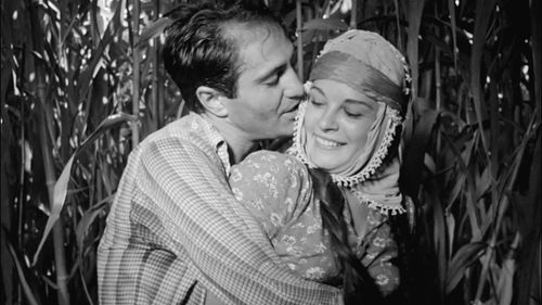 Metin Erksan Retrospective: Dry Summer / Susuz Yaz (1963)