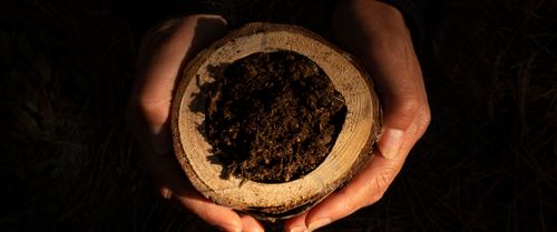 Van kruidnagel tot nikkel: van rouw tot veerkracht | Warming Up Festival