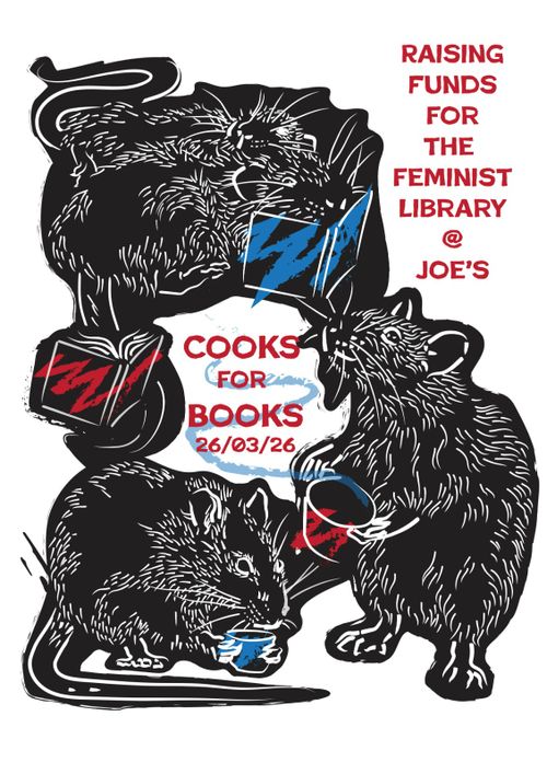 Cooks for Books: Chaos Kitchen Voku for Feminist Library Noord