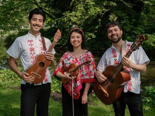 Son Huasteco by Zorzal