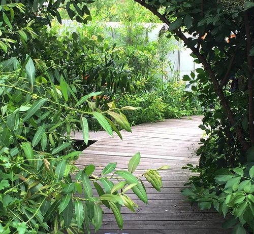 NL DOET: Green up De Ceuvel and do maintenance tasks during NL-DOET