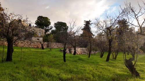 In-Process Screening & Talk: Azziza - In a Cherished Land