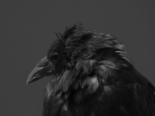 Book presentation “We are here”