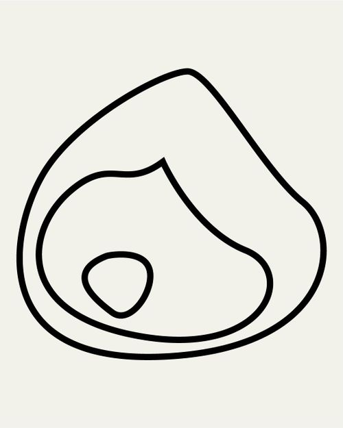 kiln as kin: clay oven building workshop