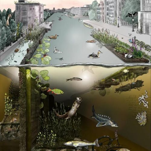 Mini-Safari: Aquatic Creatures “What lives underwater?”