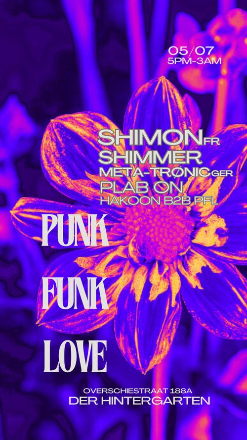 Punk Funk Love
