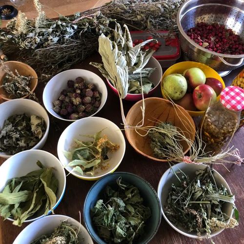 PlantPower – Create Wild Herb presents!