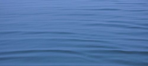 Beatrice de Graaf in conversation with Andreas Reckwitz