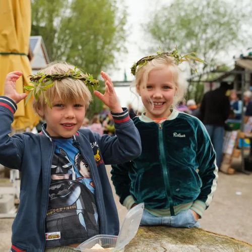 Mini-safari about willows: “What do you know about willows?”