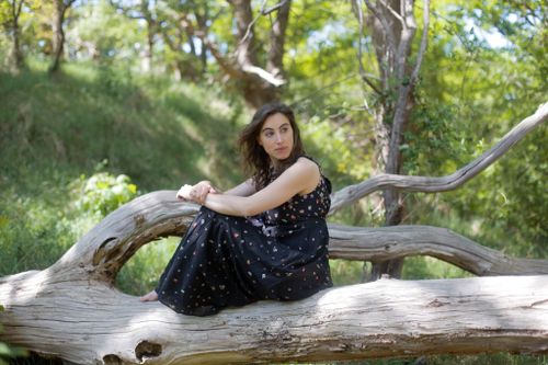 Rosa Vendel - Silhouettes