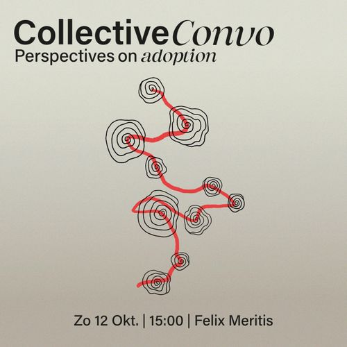 Collective Convo: perspectives on adoption
