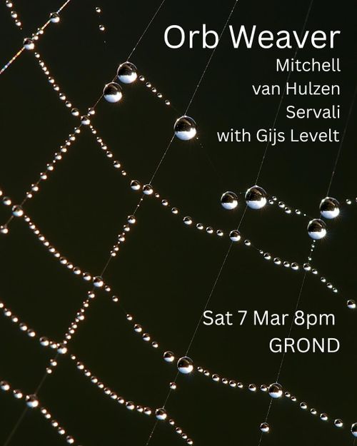 Orb Weaver with Gijs Levelt