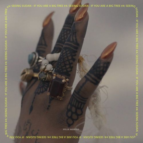 If You Are A Big Tree #4: Seeing Sudan