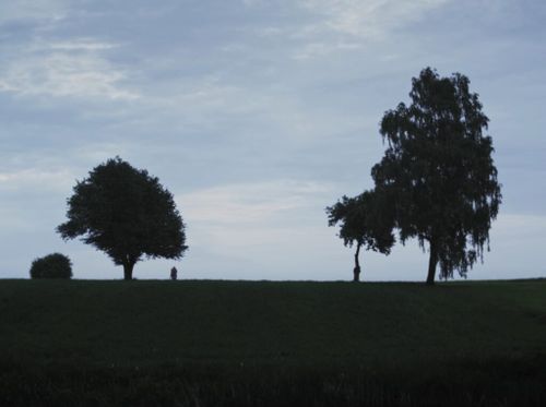 Eastern Neighbours Film Festival: her* hands and his shape & Bibi Seshanbe