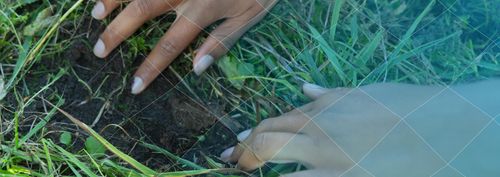 BioBlitz: Bodemdieren