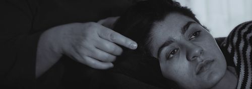 The Birds Shall Return