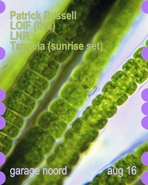 Patrick Russell, LOIF (live), LNR, Tangela (sunrise set)