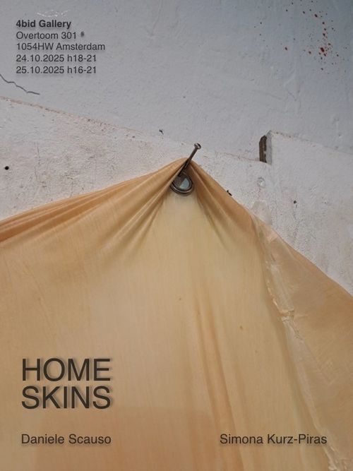 Home Skins