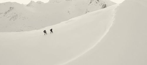 Expeditieberichten. Over ontdekkingsreizigers, zeeschuimers en andere avonturiers