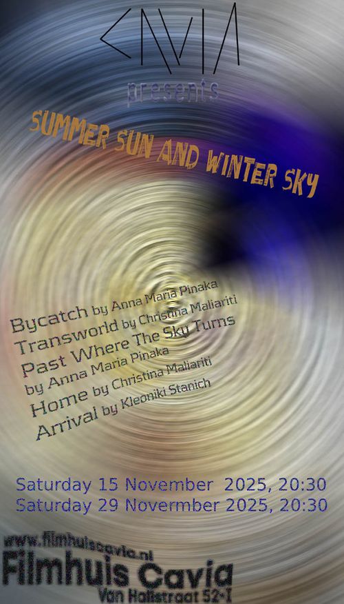 🎬 Summer Sun and Winter Sky – collection of Greek shorts