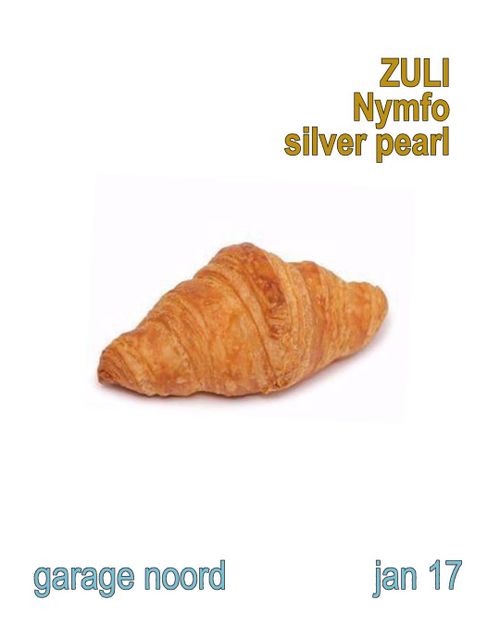 ZULI, Nymfo, silver pearl