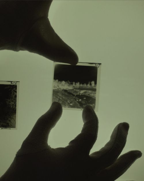 Workshop: Robusta and the Vacuum Landscape