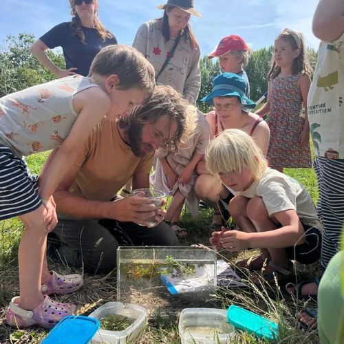 Mini-safari: about butterflies – with Nicky from butterfly garden Mot in Mokum