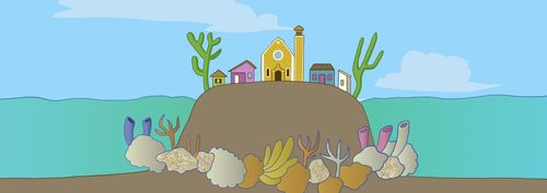 How to care for Bonaire?