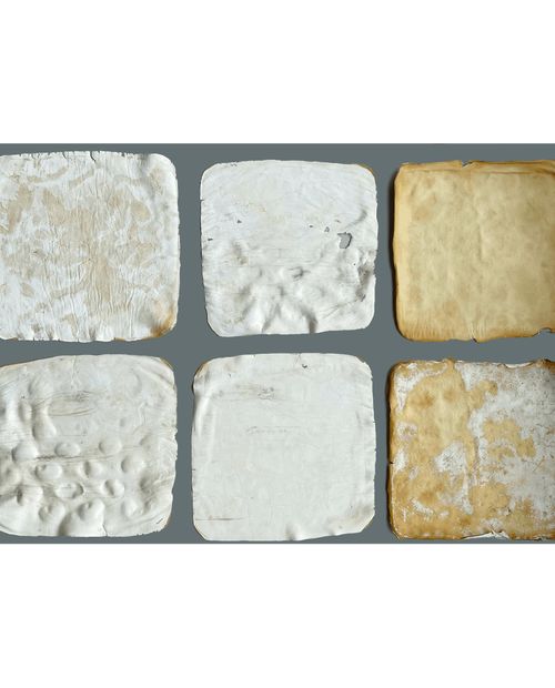Workshop: growing mycelium