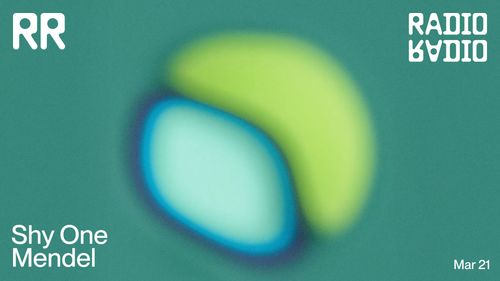 Shy One • Mendel