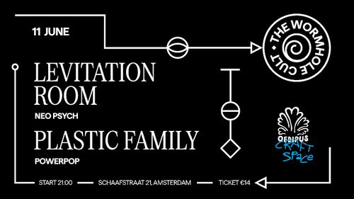 LEVITATION ROOM & PLASTIC FAMILY - THE WORMHOLE CULT
