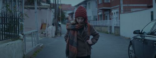 Fidan
