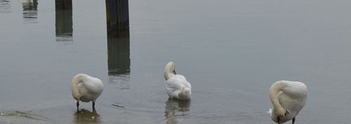 Klimaatzaken: van vonnis naar verandering