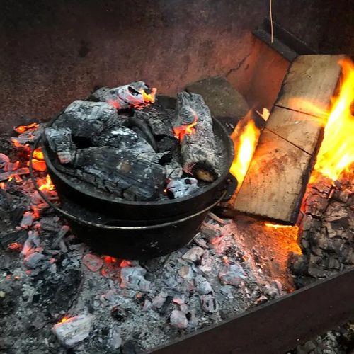 Winter Foraging Edition!