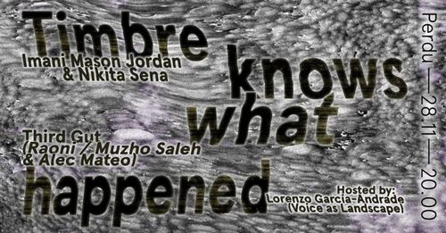 Timbre knows what happened