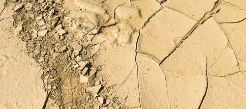 Wat Jezus, apostelen en evangelieschrijvers werkelijk zeggen over Israël