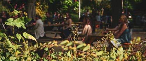 re(Imagining) Sustainability