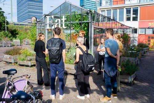 Open Friday Tour