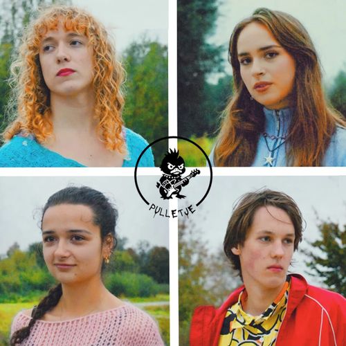 Nieuwe Nederlandse Naïviteit